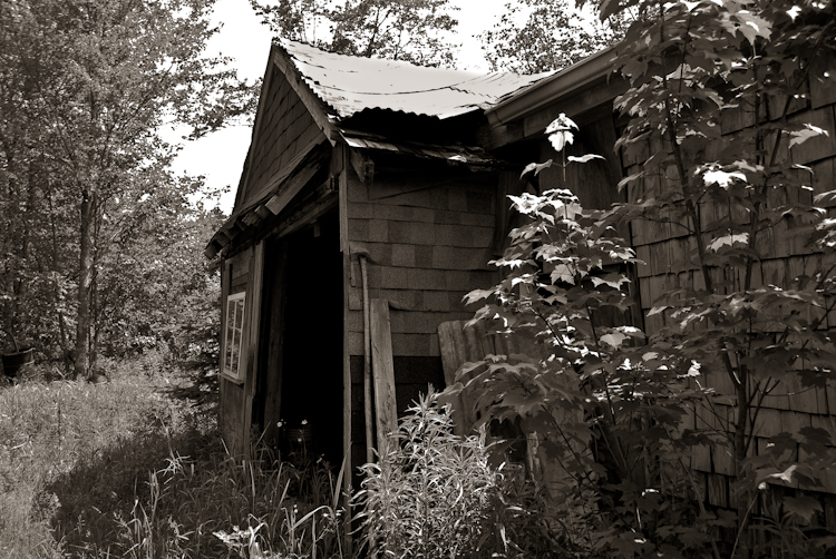 Tom's House