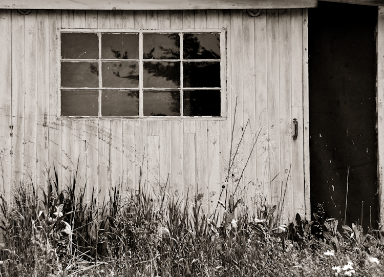 Tom's House