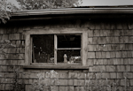 Tom's House