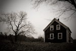 Tom's House